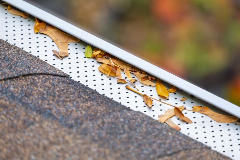 Gutter Cover on Residential Home