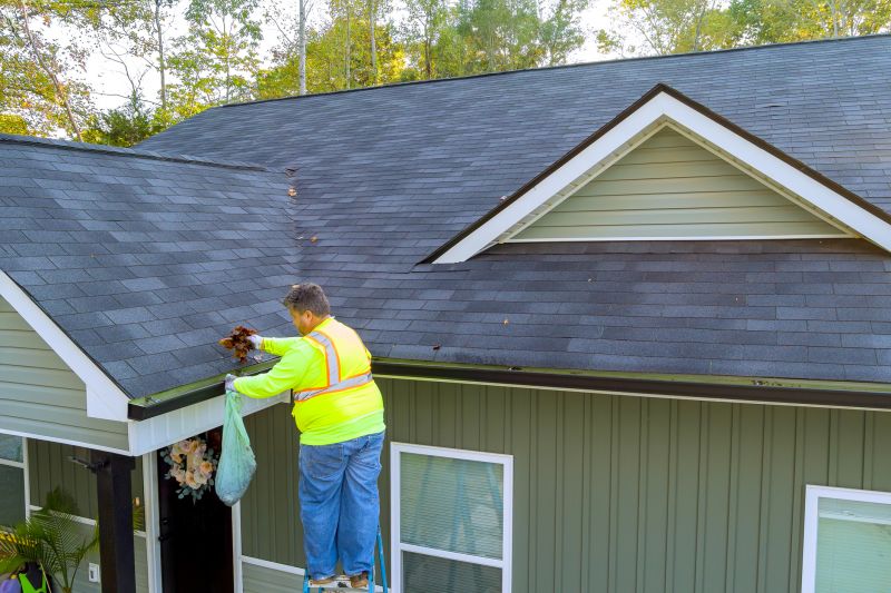 Cleaning and Gutter Service Companies